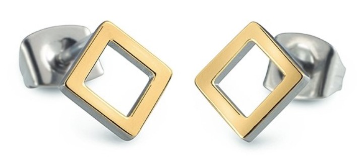 Obrázok z Boccia Titanium náušnice