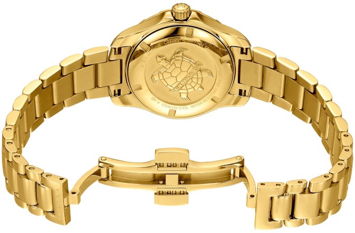 Obrázok z Certina DS Action Diver