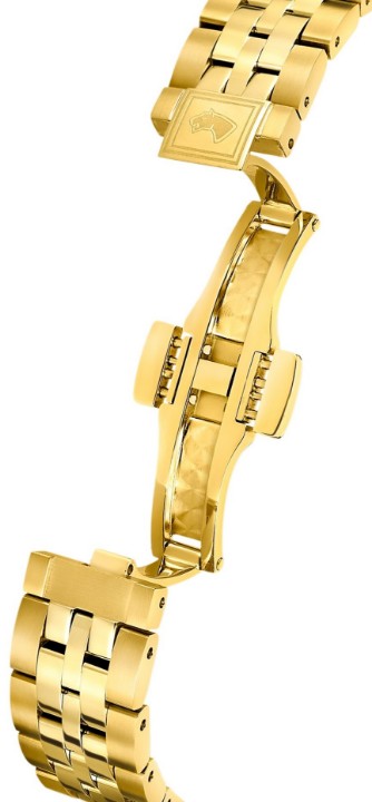 Obrázok z Jaguar Automatic Héritage