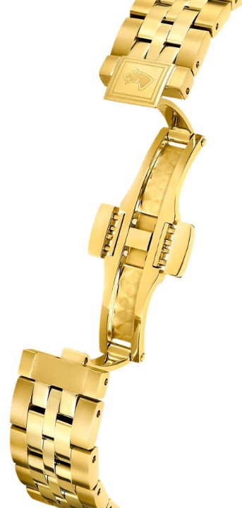 Obrázok z Jaguar Automatic CŒUR