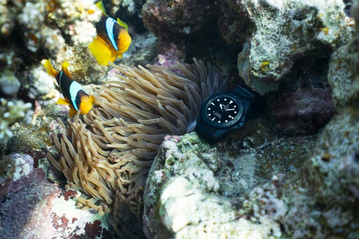 Obrázok z Certina DS Action Diver