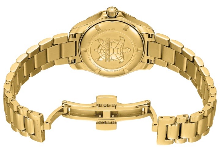 Obrázok z Certina DS Action Diver