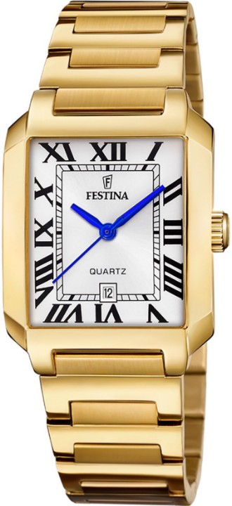 Obrázok z Festina Classics
