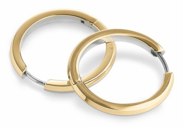 Obrázok z Boccia Titanium náušnice