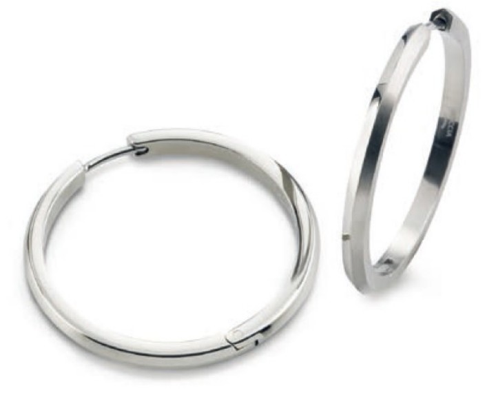 Obrázok z Boccia Titanium náušnice