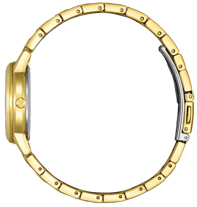 Obrázok z Citizen Eco Drive