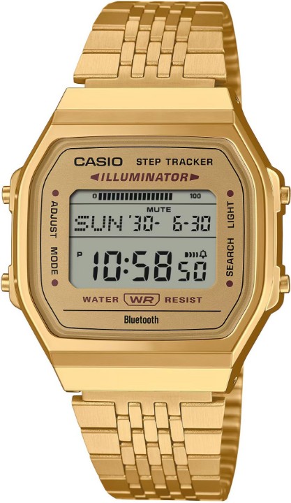 Obrázok z Casio Vintage Iconic