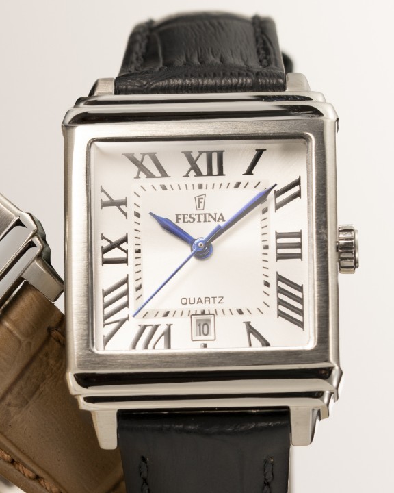 Obrázok z Festina Classics