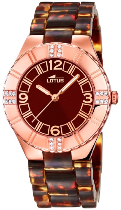 Obrázok z Lotus Trendy