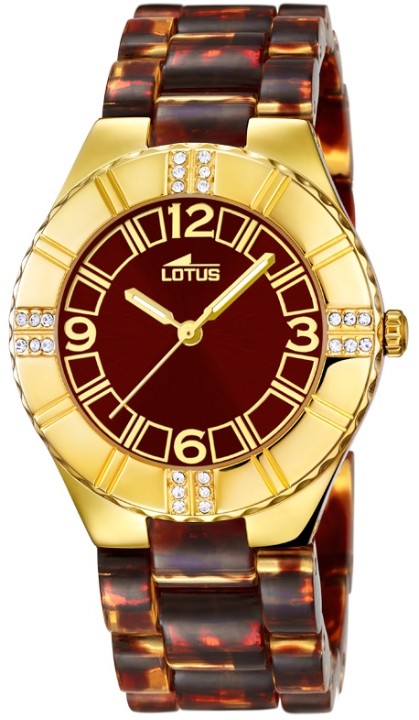 Obrázok z Lotus Trendy