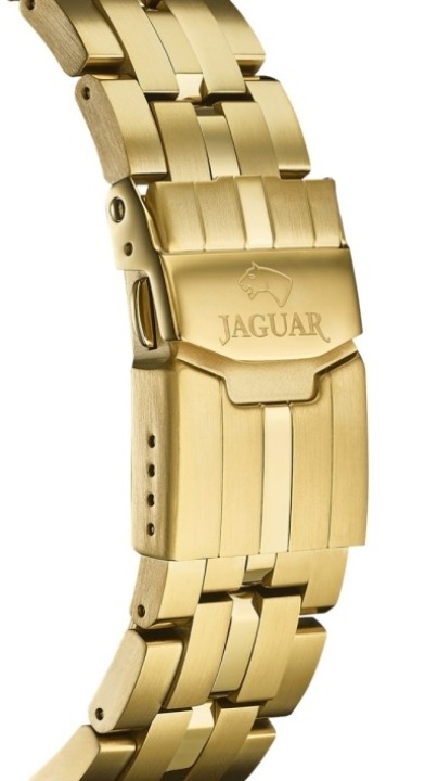 Obrázok z Jaguar Executive