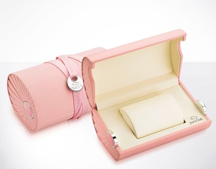 Obrázok z Jaguar Executive Diver