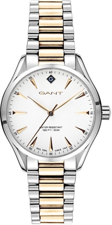 Obrázok z Gant Sharon