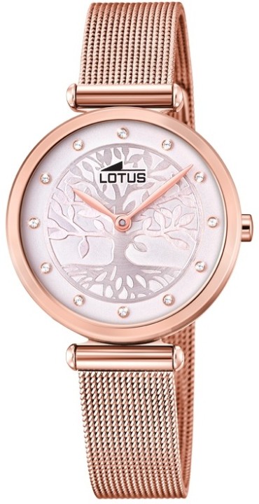 Obrázok z Lotus Bliss