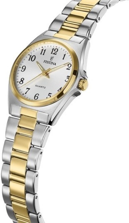 Obrázok z Festina Classics