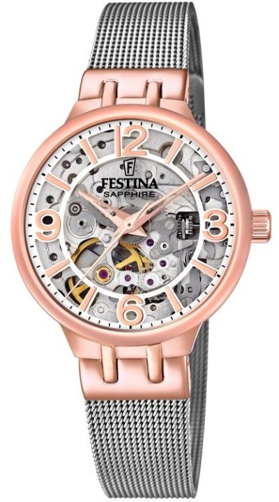 Obrázok z Festina Automatic Skeleton