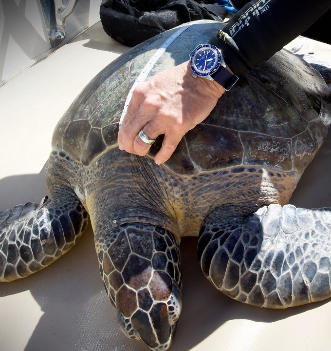 Obrázok z Certina DS Super PH500M