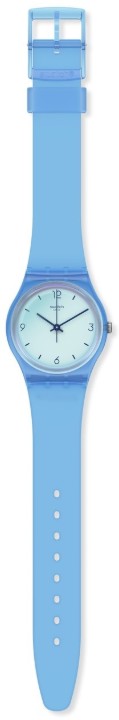 Obrázok z Swatch Swan Ocean