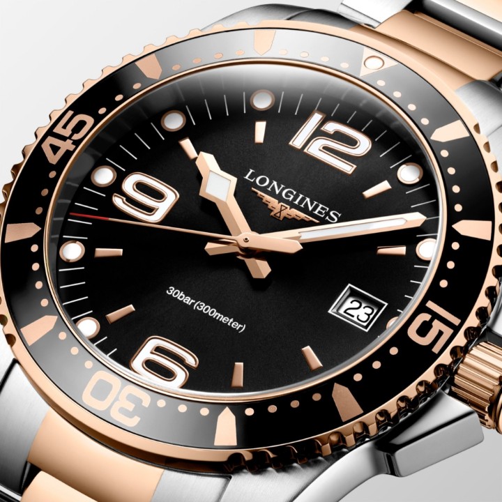 Obrázok z Longines HydroConquest