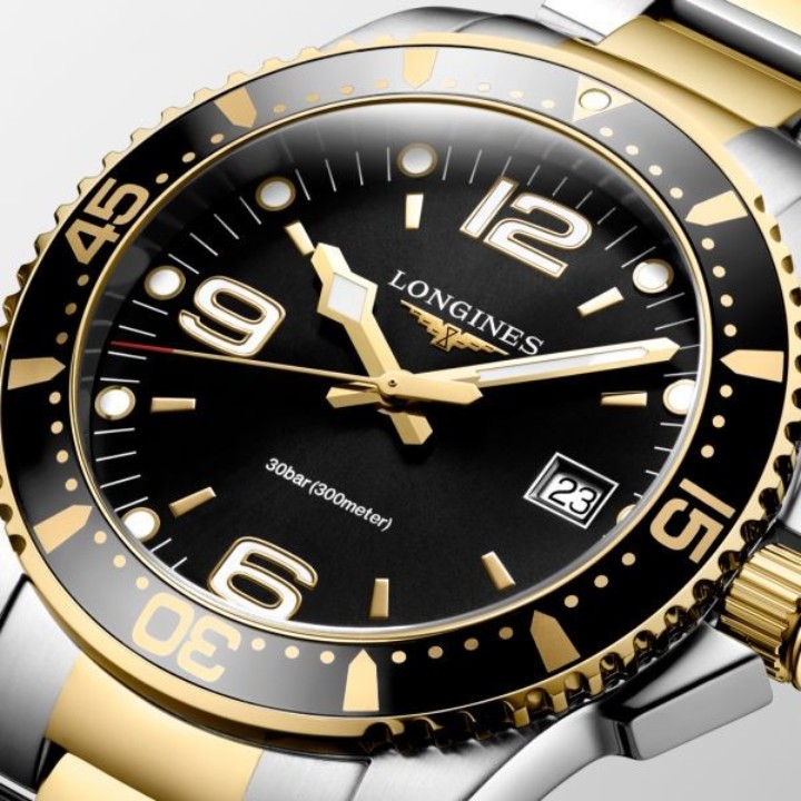 Obrázok z Longines HydroConquest