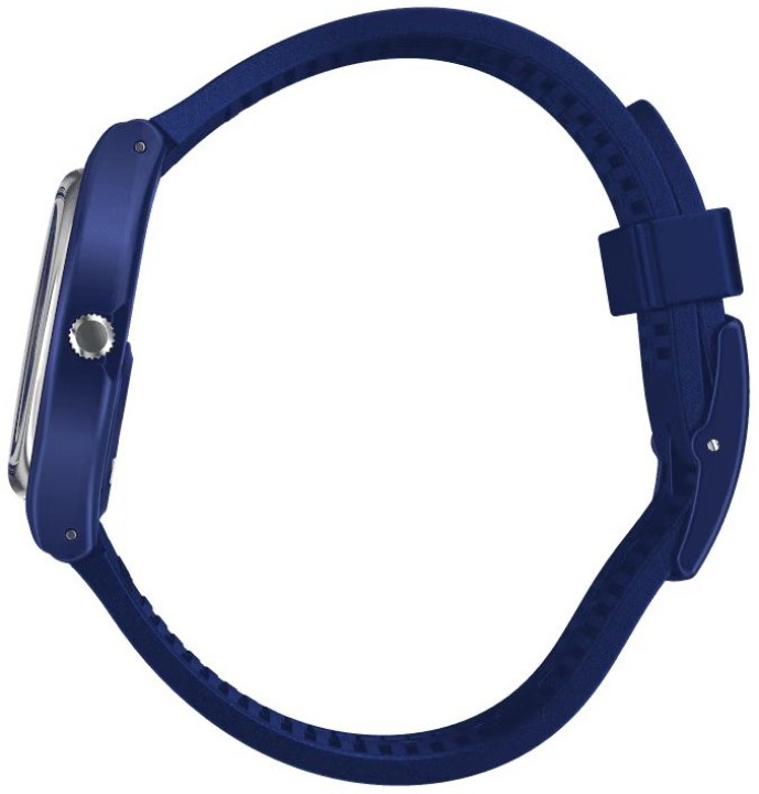 Obrázok z Swatch Silver in Blue