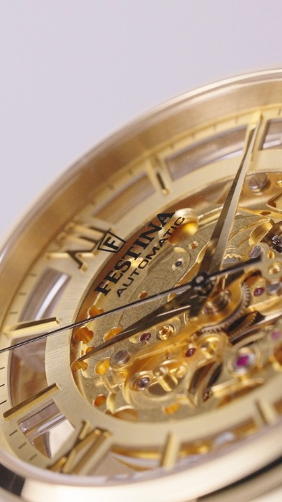 Obrázok z Festina Automatic Skeleton