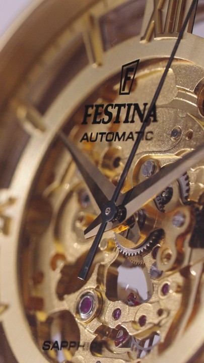 Obrázok z Festina Automatic Skeleton