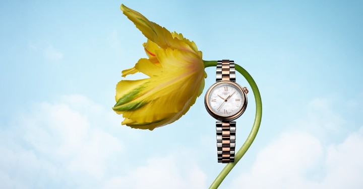 Obrázok z Tissot Desir