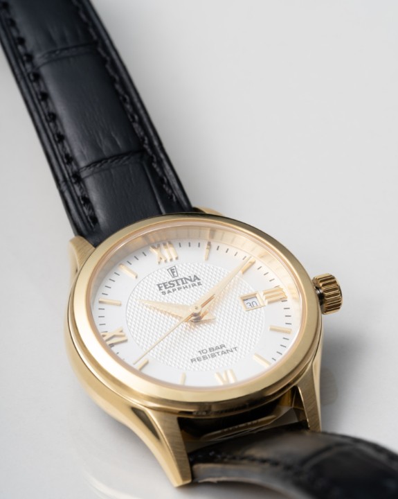 Obrázok z Festina Swiss Made