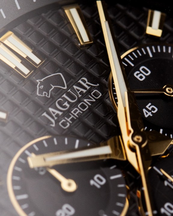 Obrázok z Jaguar Diplomatic