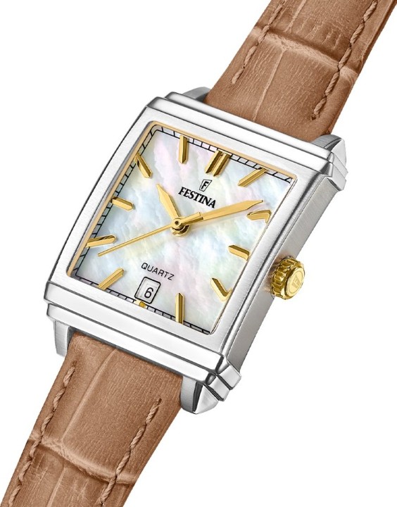 Obrázok z Festina Classics