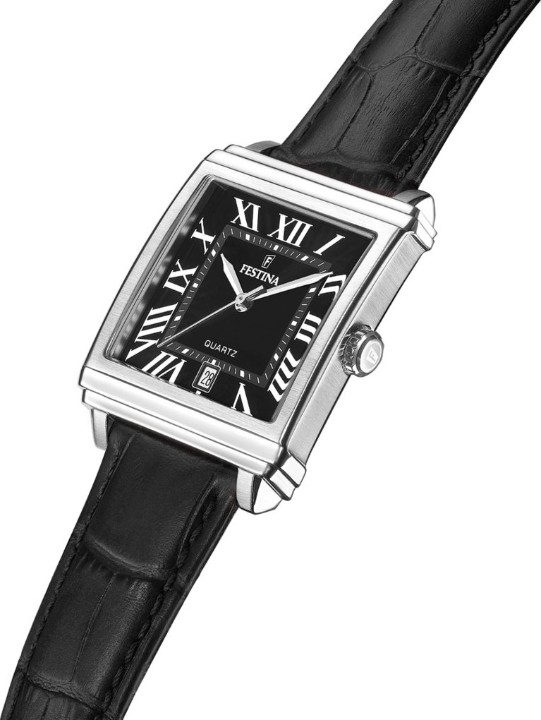 Obrázok z Festina Classics