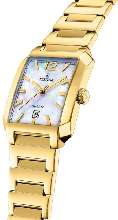 Obrázok z Festina Classics