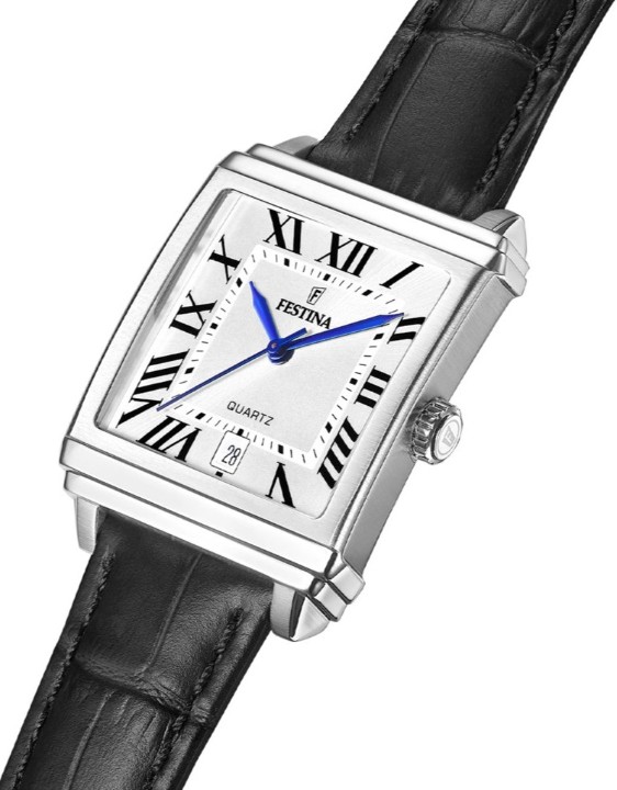 Obrázok z Festina Classics