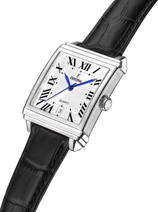 Obrázok z Festina Classics