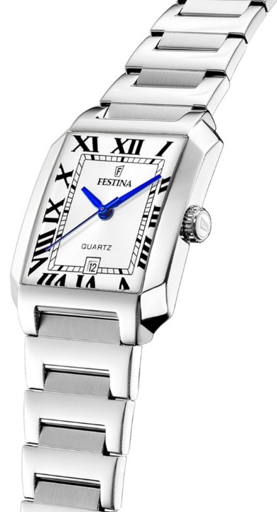 Obrázok z Festina Classics