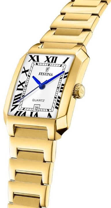 Obrázok z Festina Classics