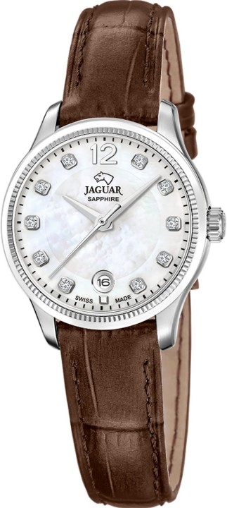 Obrázok z Jaguar Acamar