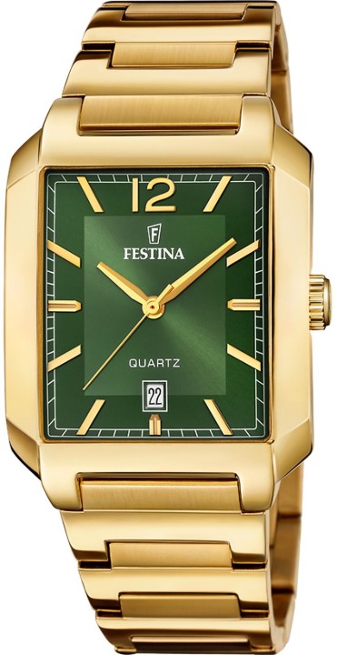 Obrázok z Festina Classics