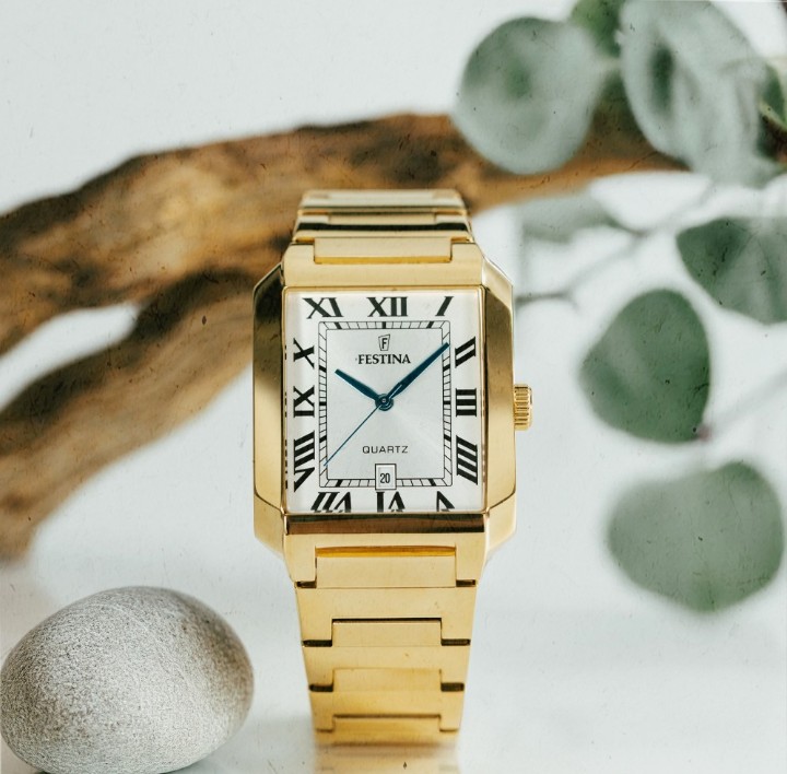 Obrázok z Festina Classics