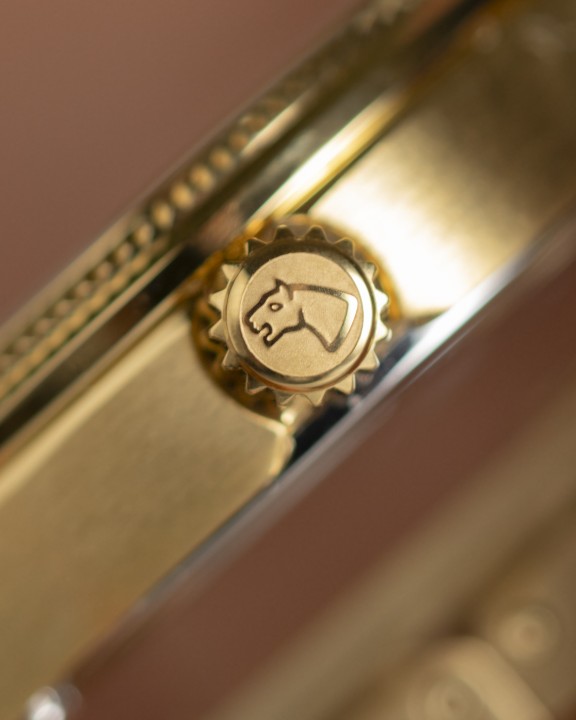 Obrázok z Jaguar Acamar