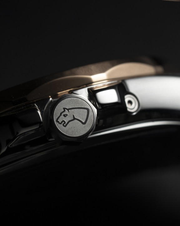 Obrázok z Jaguar Diplomatic