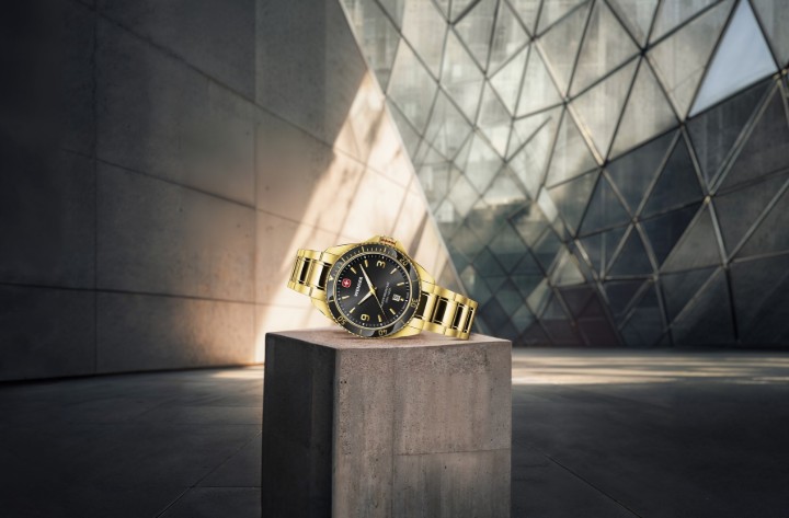 Obrázok z Wenger Executive