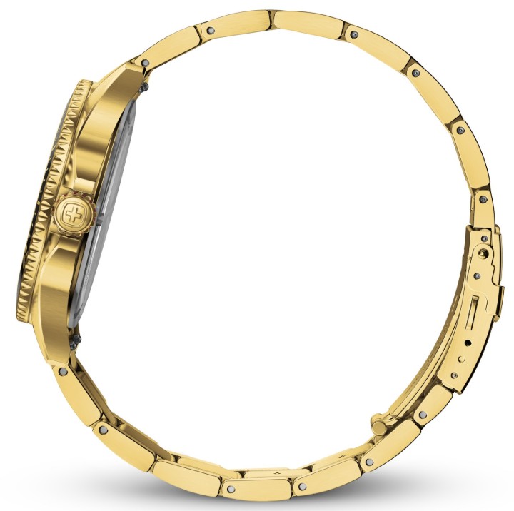 Obrázok z Wenger Executive