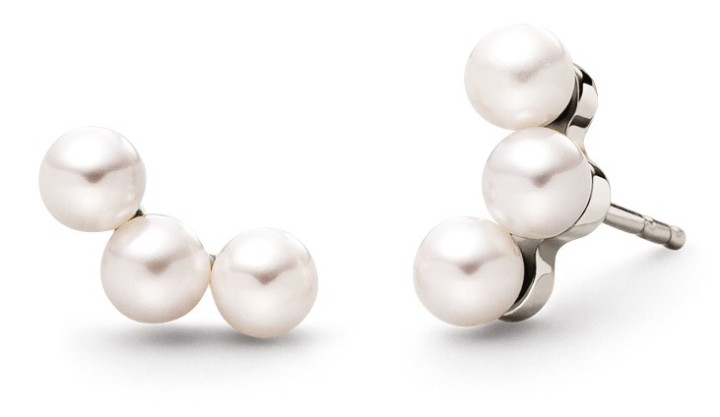 Obrázok z Boccia Titanium náušnice