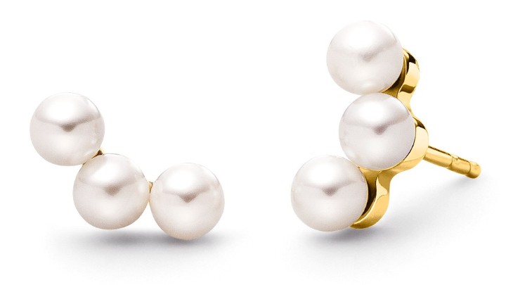 Obrázok z Boccia Titanium náušnice