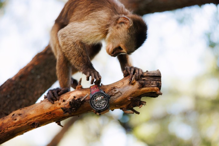 Obrázok z NORQAIN Independence Wild One Skeleton Hakuna Mipaka Limited Edition