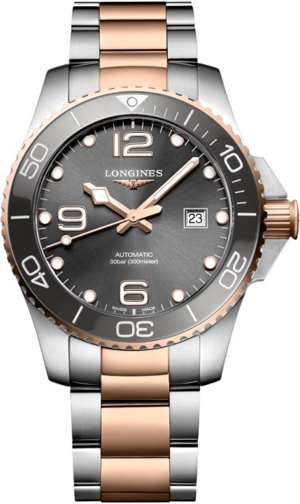 Obrázok z Longines HydroConquest