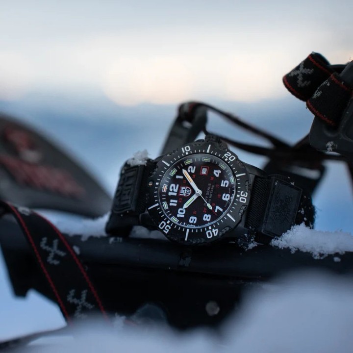 Obrázok z Luminox Navy SEAL 4230 Series