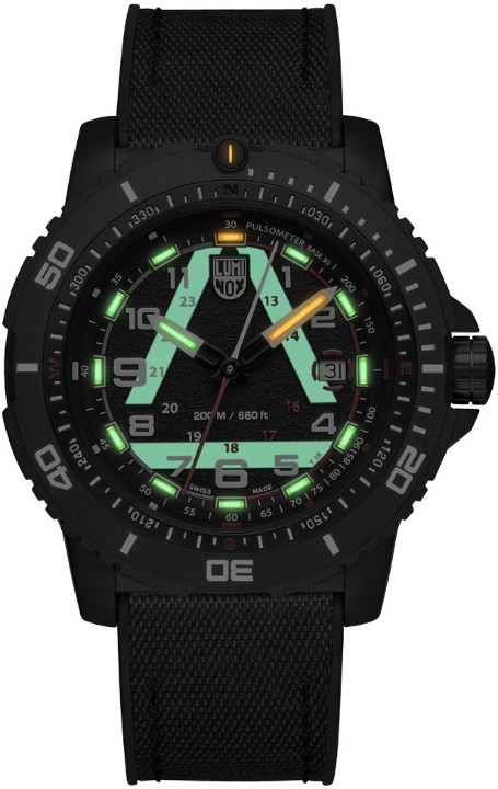 Obrázok z Luminox ICE-SAR 1080 Series
